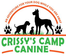 Crissy's Camp Canine